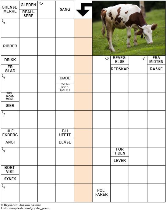 Dagens kryssord – 26. Juni - 2021