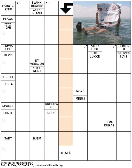 Dagens kryssord – 27. Juni - 2021