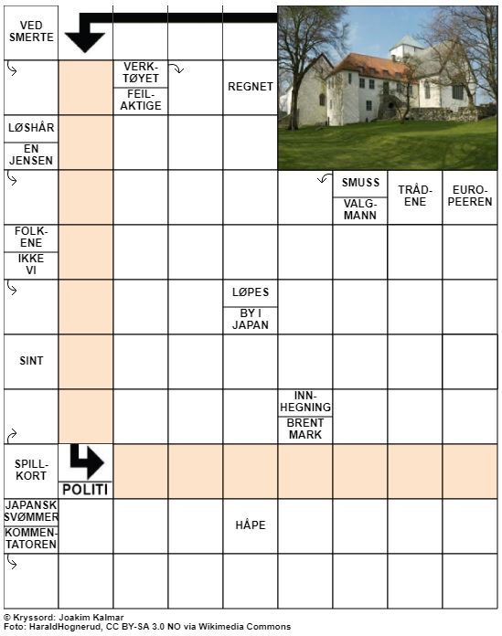 Dagens kryssord – 28. Juni - 2021