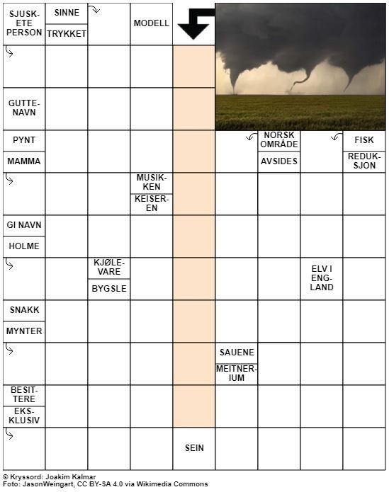 Dagens kryssord – 1. August - 2021