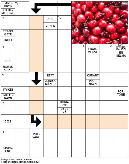 Dagens kryssord – 5. Juli - 2021