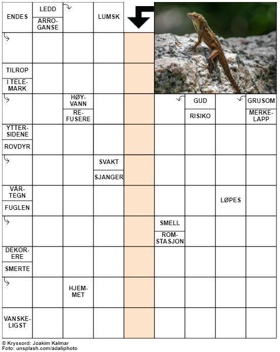 Dagens kryssord – 9. Juli - 2021