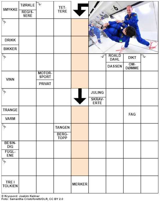Dagens kryssord – 11. Juli - 2021