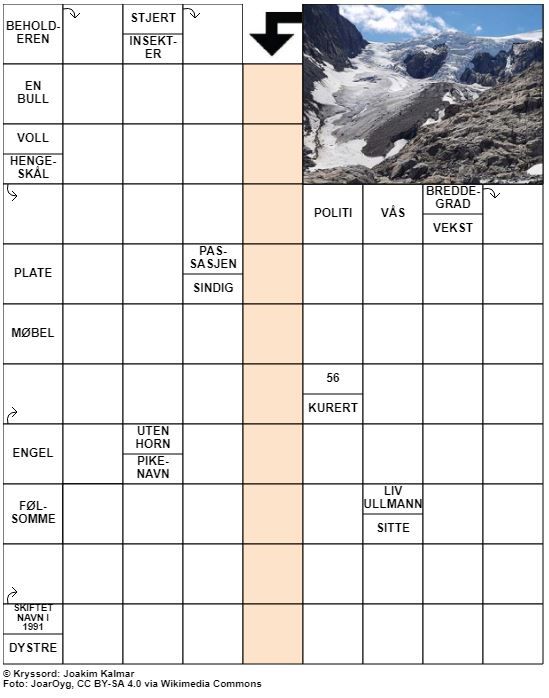 Dagens kryssord – 17. Juli - 2021