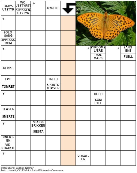 Dagens kryssord – 18. Juli - 2021