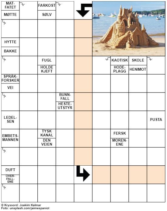 Dagens kryssord – 20. Juli - 2021