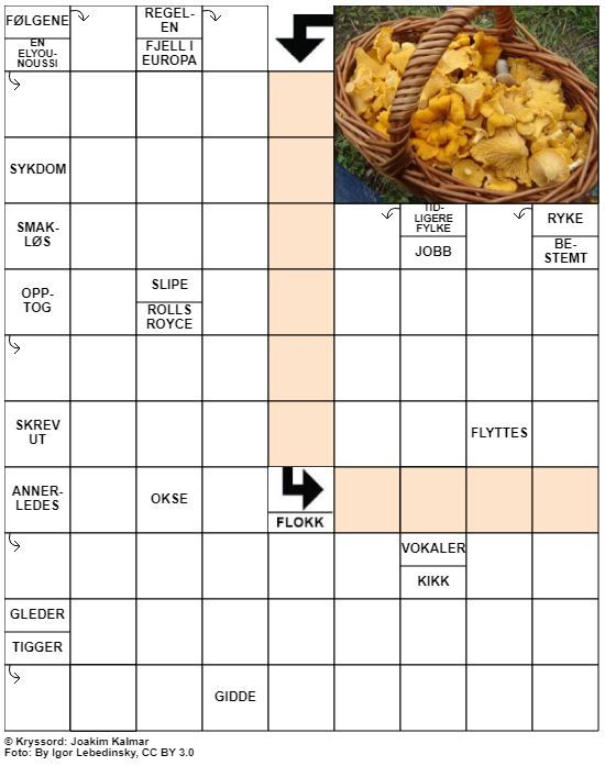 Dagens kryssord – 4. August - 2021