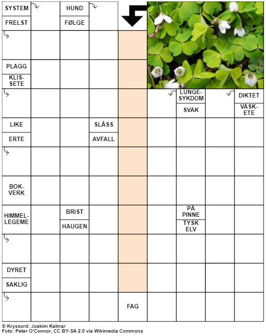 Dagens kryssord – 6. August - 2021