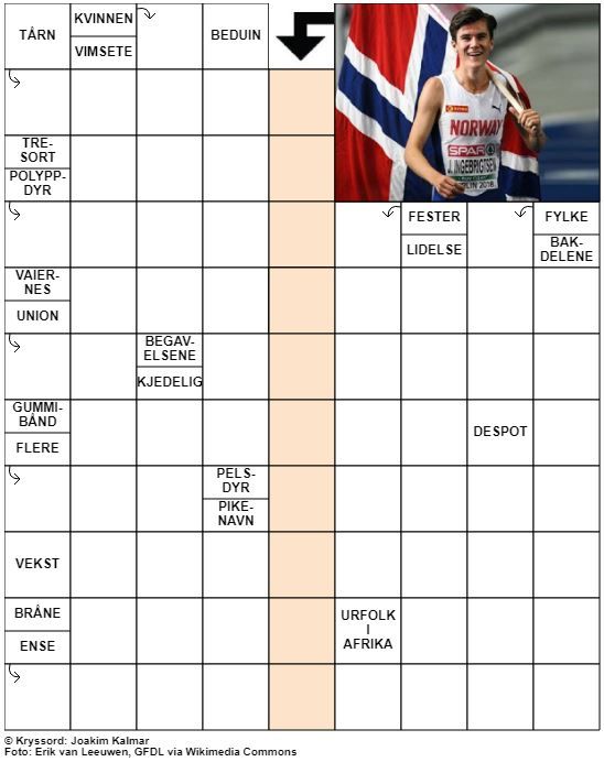 Dagens kryssord – 8. August - 2021