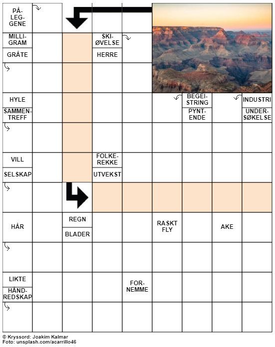Dagens kryssord – 9. August - 2021