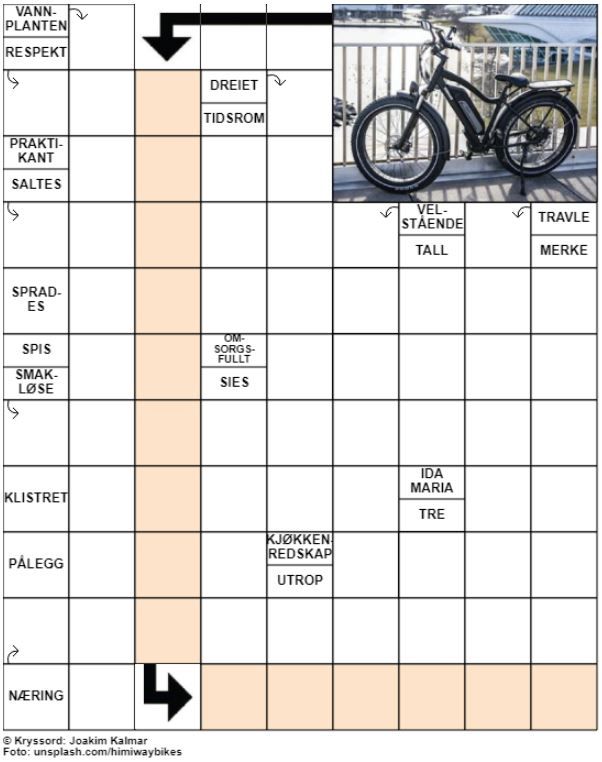 Dagens kryssord – 18. August - 2021