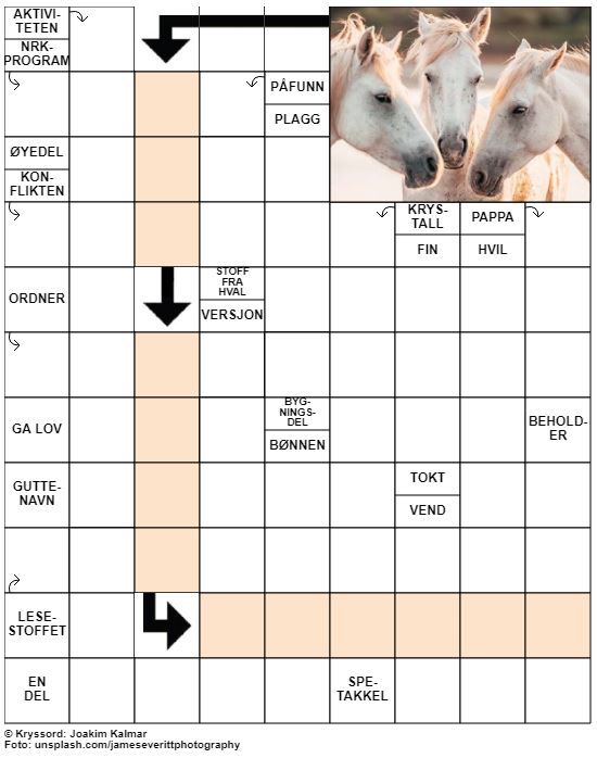 Dagens kryssord – 22. August - 2021