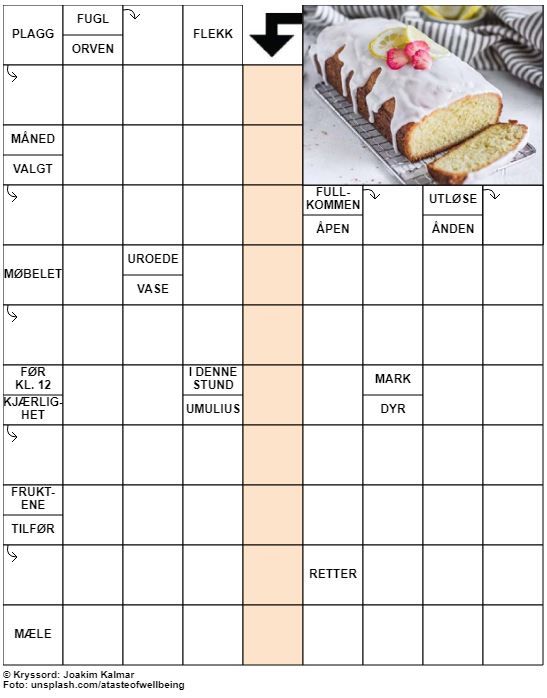 Dagens kryssord – 27. August - 2021