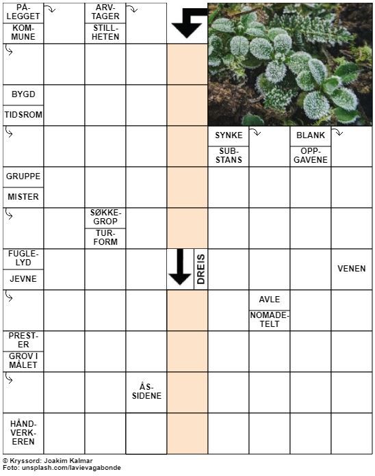 Dagens kryssord – 3. Oktober - 2021