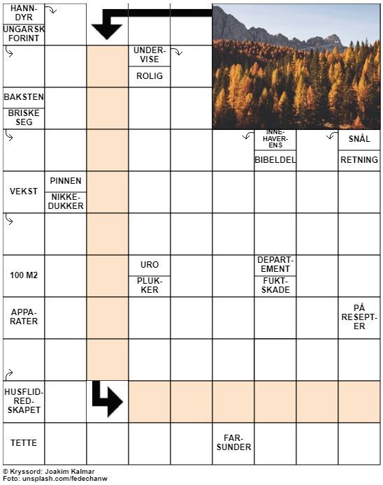 Dagens kryssord – 8. September - 2021