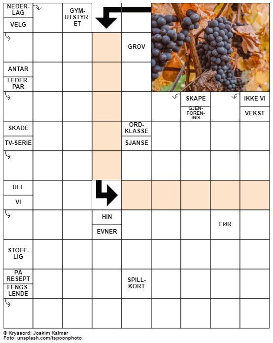 Dagens kryssord – 15. September - 2021
