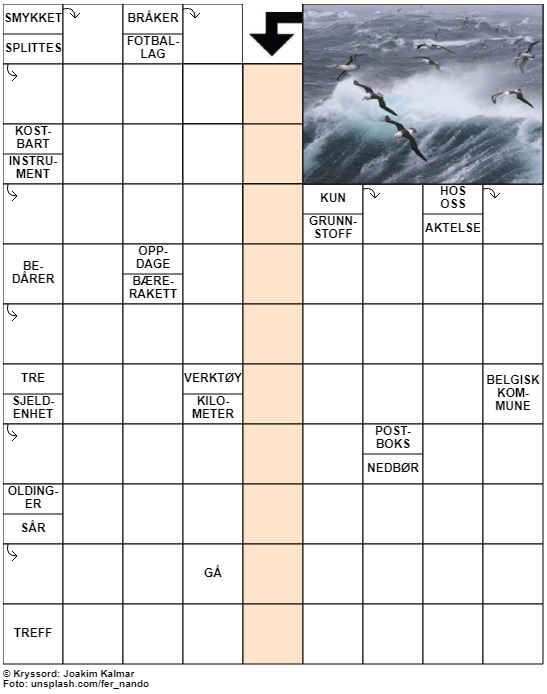 Dagens kryssord – 24. September - 2021