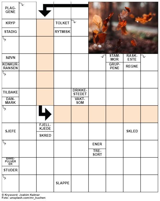 Dagens kryssord – 27. September - 2021