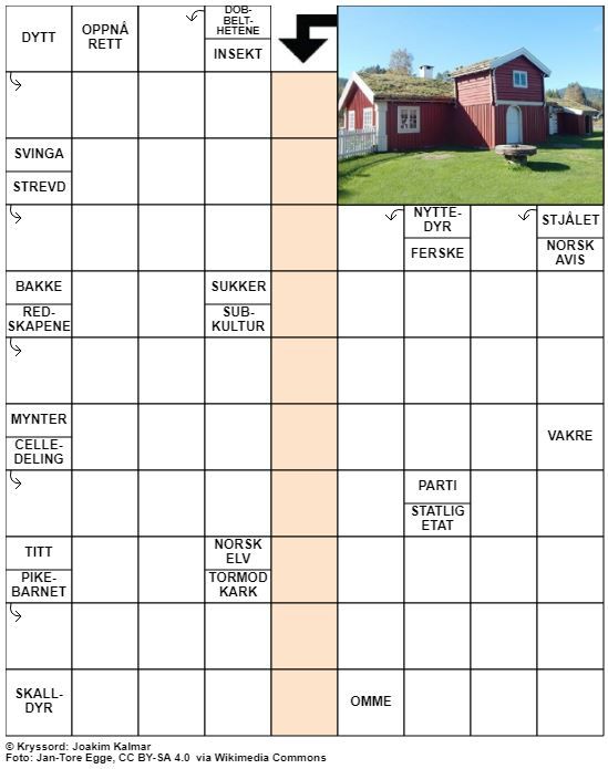 Dagens kryssord – 1. November - 2021