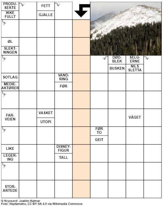 Dagens kryssord – 9. Oktober - 2021