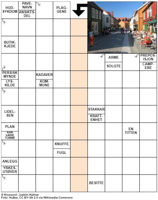 Dagens kryssord – 13. Oktober - 2021