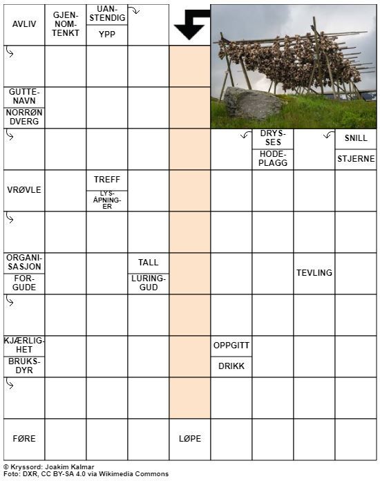 Dagens kryssord – 14. Oktober - 2021
