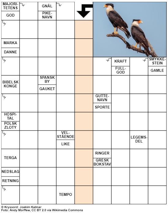 Dagens kryssord – 24. Oktober - 2021