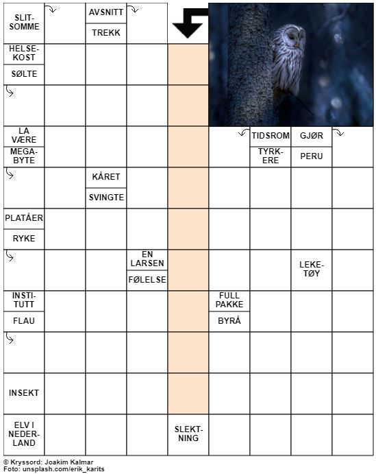 Dagens kryssord – 4. November - 2021