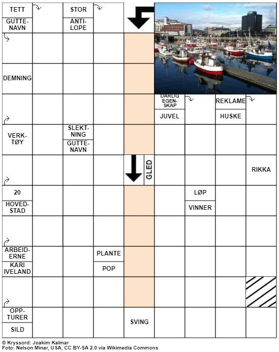 Dagens kryssord – 8. November - 2021