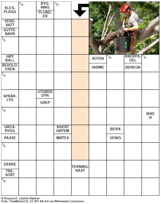 Dagens kryssord – 9. November - 2021