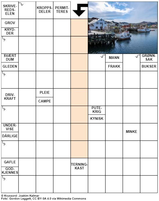 Dagens kryssord – 10. November - 2021