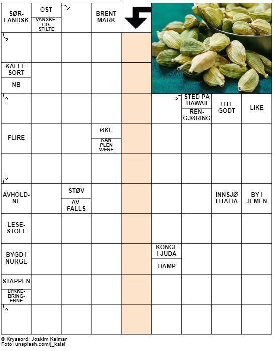 Dagens kryssord – 14. November - 2021