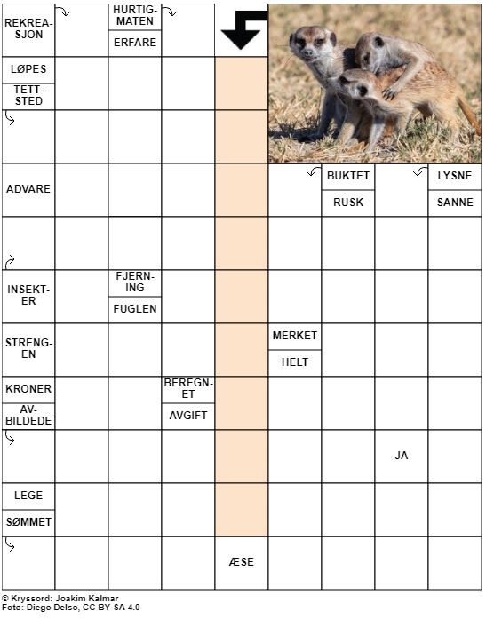 Dagens kryssord – 15. November - 2021