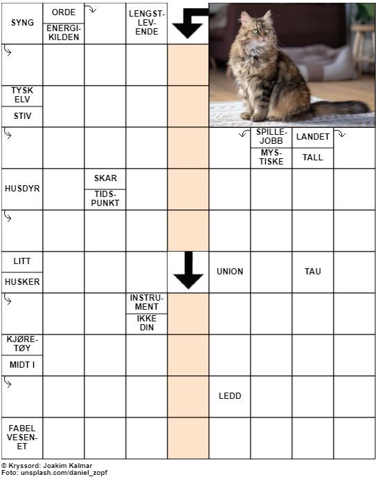 Dagens kryssord – 17. November - 2021