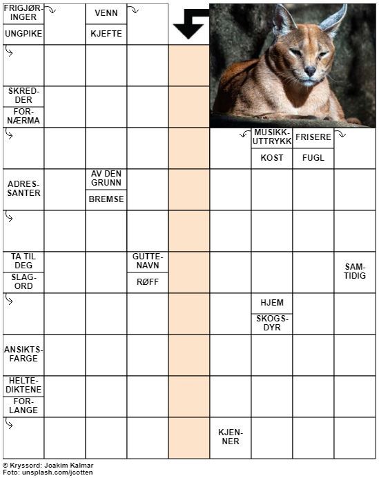 Dagens kryssord – 23. November - 2021