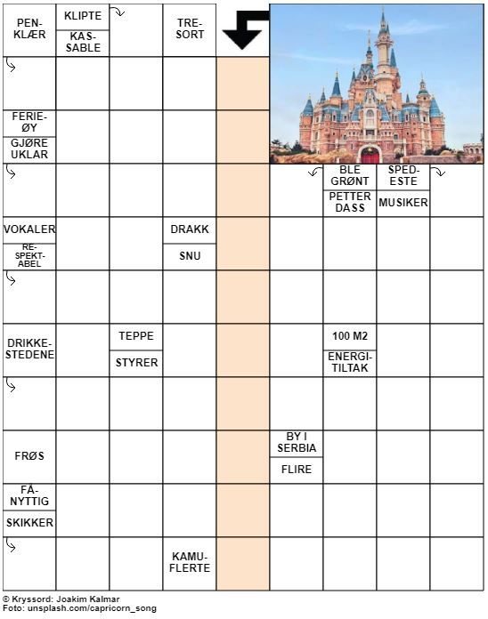 Dagens kryssord – 24. November - 2021