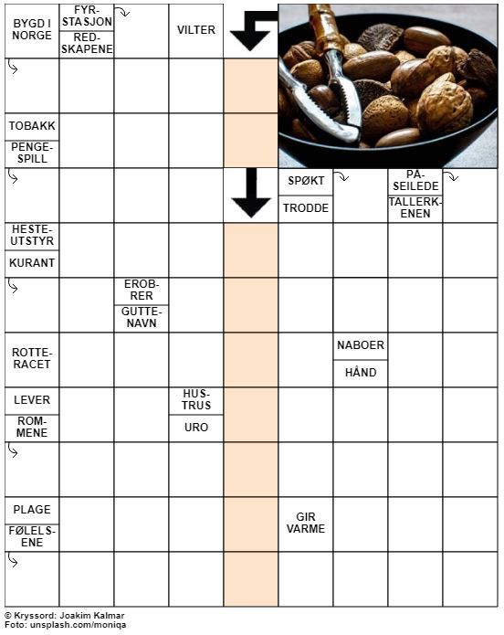 Dagens kryssord – 28. November - 2021