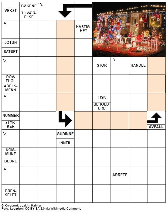 Dagens kryssord – 29. November - 2021