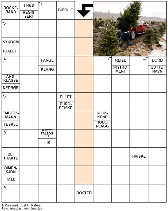 Dagens kryssord – 30. November - 2021