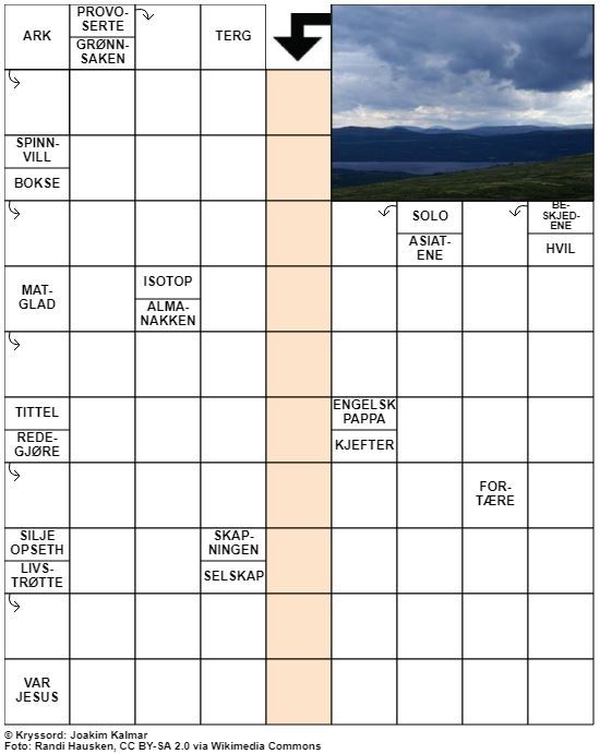 Dagens kryssord – 1. Januar - 2022