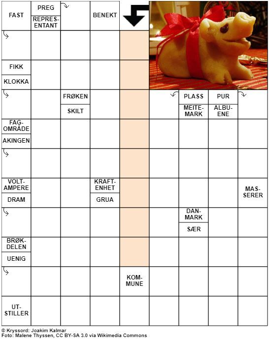 Dagens kryssord – 25. Desember - 2021