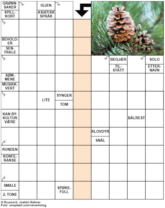 Dagens kryssord – 26. Desember - 2021