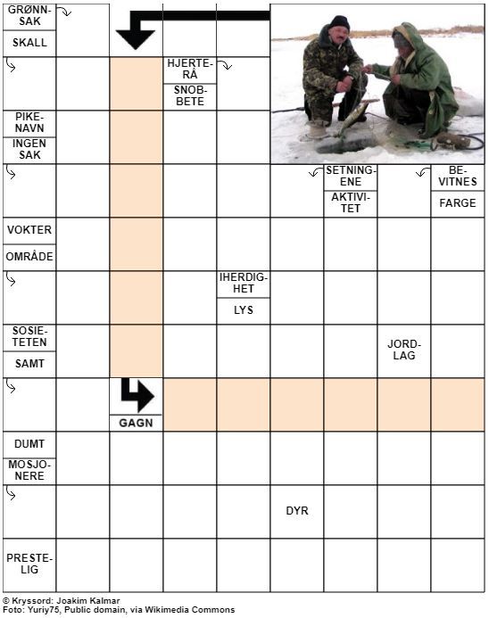 Dagens kryssord – 30. Desember - 2021