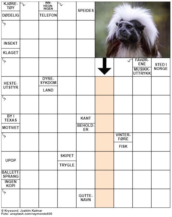 Dagens kryssord – 2. Januar - 2022