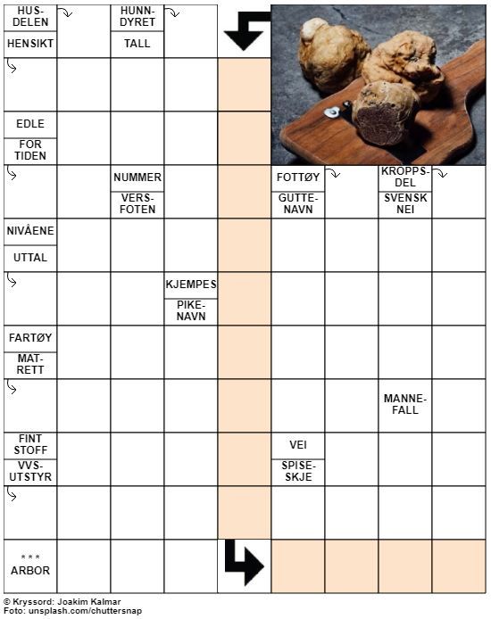 Dagens kryssord – 7. Januar - 2022