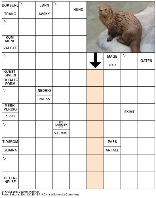 Dagens kryssord – 11. Januar - 2022