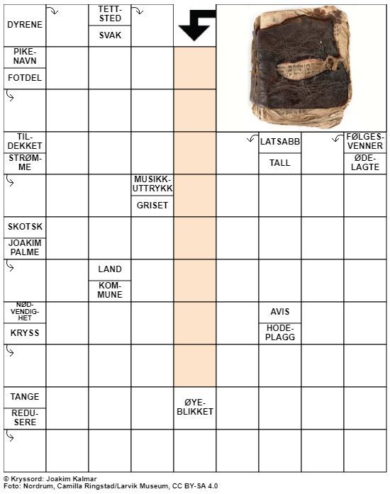 Dagens kryssord – 12. Januar - 2022