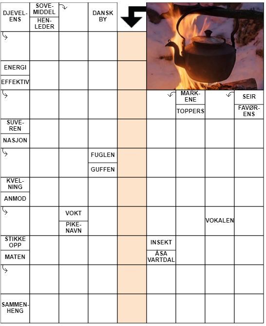 Dagens kryssord – 14. Januar - 2022