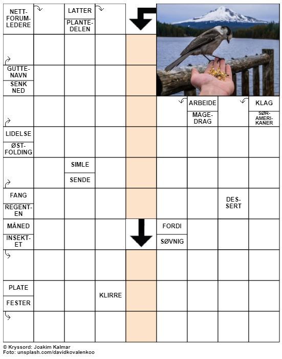 Dagens kryssord – 15. Januar - 2022