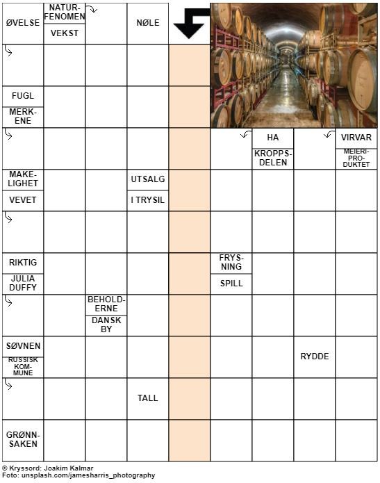 Dagens kryssord – 20. Januar - 2022